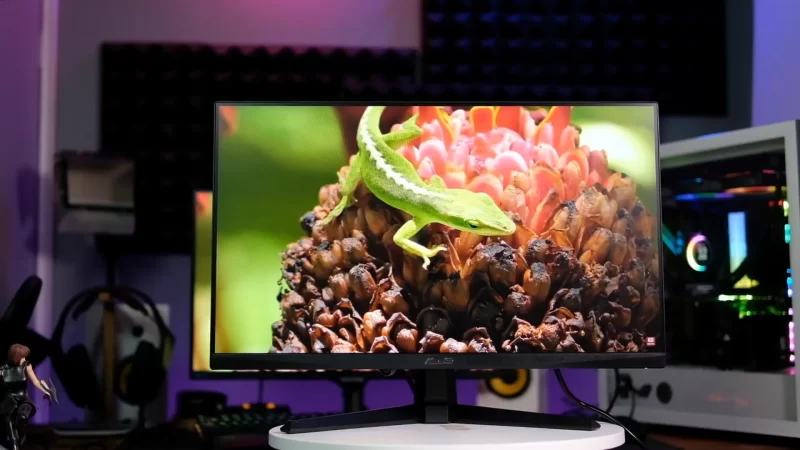 7 Rekomendasi Monitor Editing Murah Budget 1 Jutaan Tahun 2025