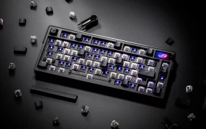 Tips Memilih Mechanical Keyboard: 5 Fitur Penting vs Gimik Estetika