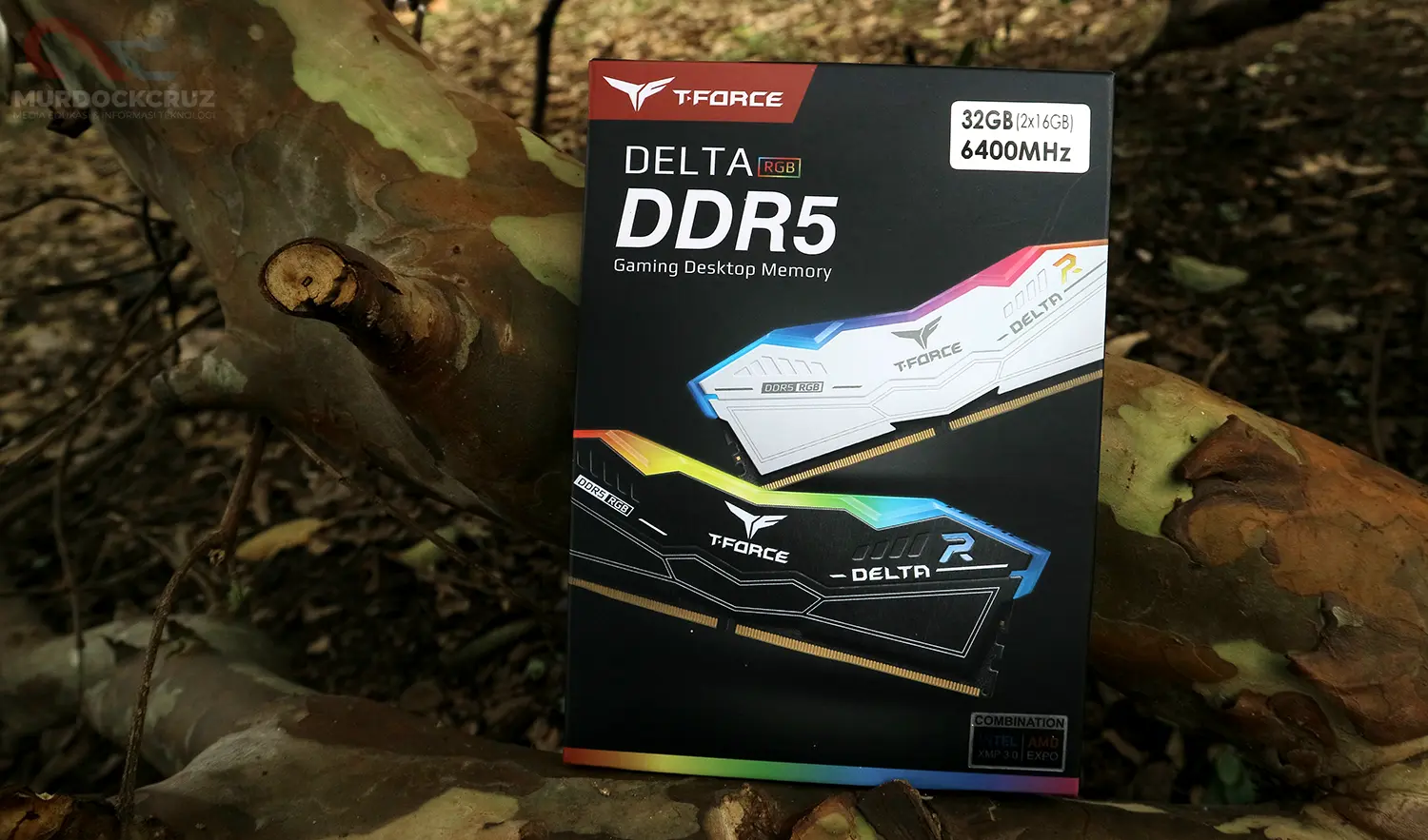 Review TEAMGROUP DELTA RGB 32GB DDR5 6400Mhz: Solid, Tapi Tidak Murah