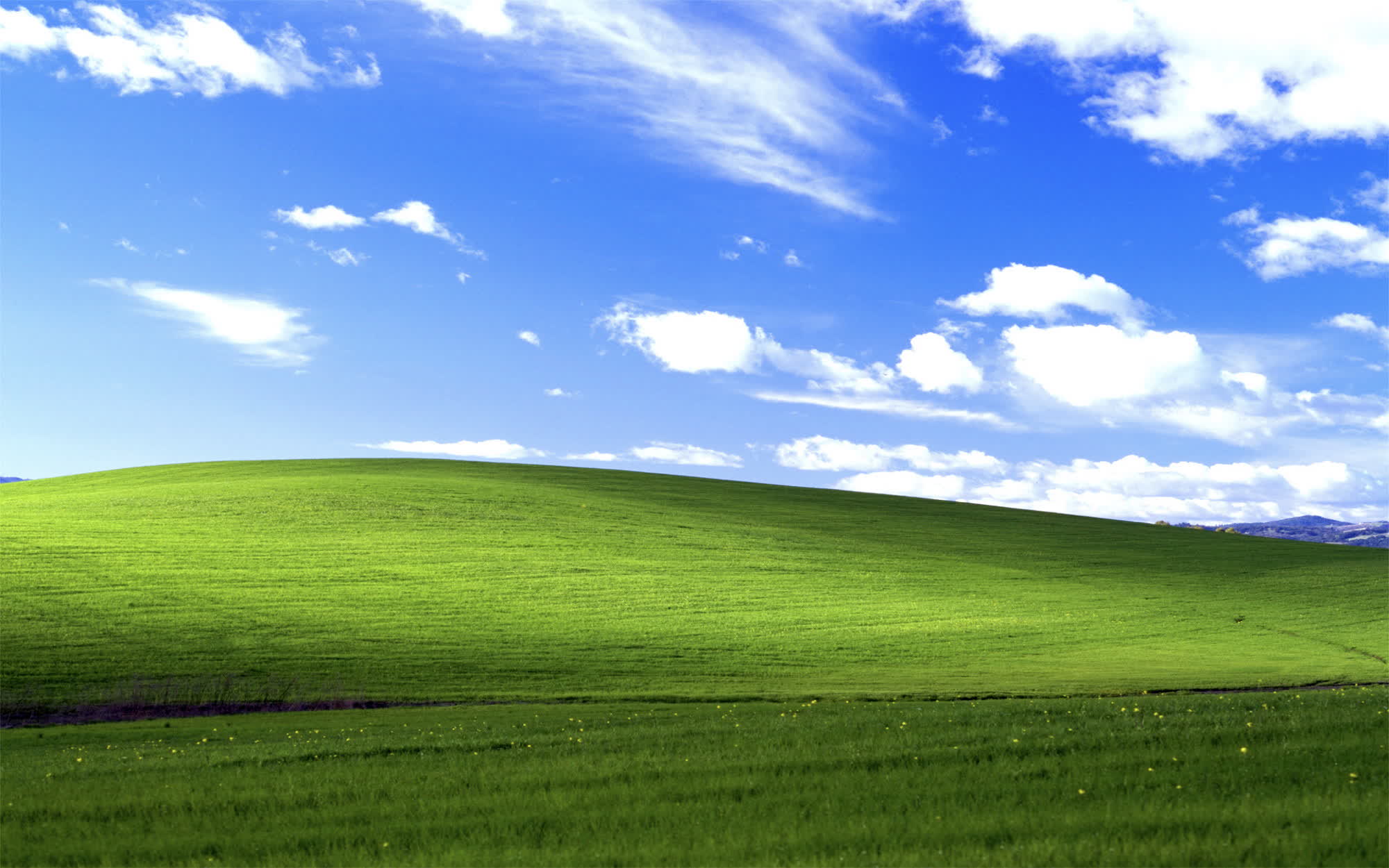 Bliss Windows XP: Dari Foto Stok Biasa Jadi Ikon Teknologi Dunia