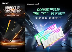 Kit RAM Asal Tiongkok Mulai Adopsi Modul Memori Lokal 24 Gb DDR5